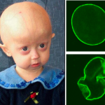 Svg+xml;charset=utf 8,%3Csvg Xmlns%3D'http%3A%2F%2Fwww.w3