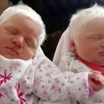 Svg+xml;charset=utf 8,%3Csvg Xmlns%3D'http%3A%2F%2Fwww.w3