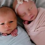 Svg+xml;charset=utf 8,%3Csvg Xmlns%3D'http%3A%2F%2Fwww.w3