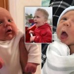 Svg+xml;charset=utf 8,%3Csvg Xmlns%3D'http%3A%2F%2Fwww.w3