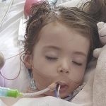 Svg+xml;charset=utf 8,%3Csvg Xmlns%3D'http%3A%2F%2Fwww.w3