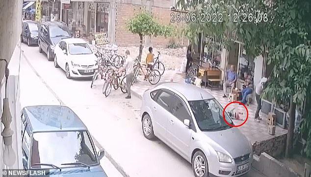 Svg+xml;charset=utf 8,%3Csvg Xmlns%3D'http%3A%2F%2Fwww.w3