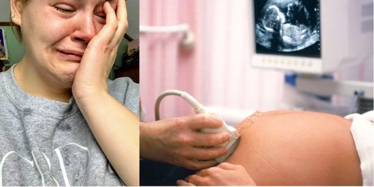 Svg+xml;charset=utf 8,%3Csvg Xmlns%3D'http%3A%2F%2Fwww.w3