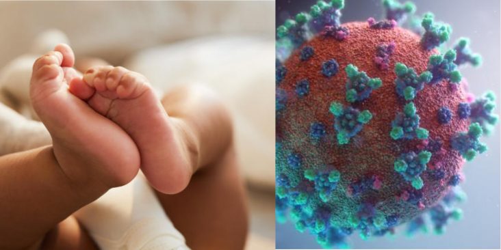 Svg+xml;charset=utf 8,%3Csvg Xmlns%3D'http%3A%2F%2Fwww.w3