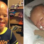 Svg+xml;charset=utf 8,%3Csvg Xmlns%3D'http%3A%2F%2Fwww.w3