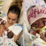 Svg+xml;charset=utf 8,%3Csvg Xmlns%3D'http%3A%2F%2Fwww.w3