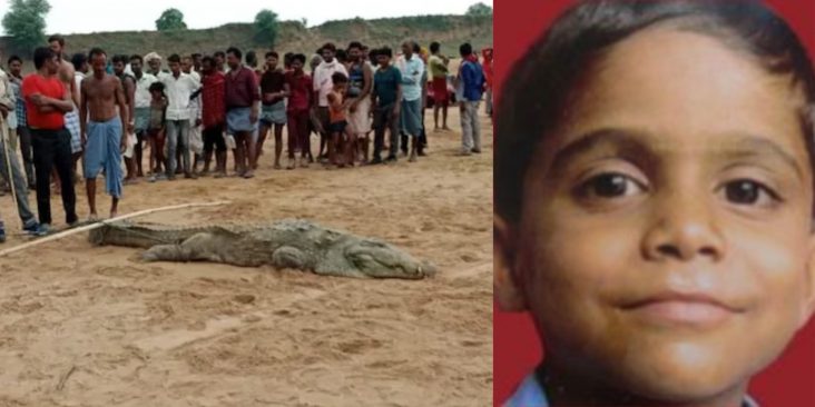 Svg+xml;charset=utf 8,%3Csvg Xmlns%3D'http%3A%2F%2Fwww.w3