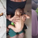 Svg+xml;charset=utf 8,%3Csvg Xmlns%3D'http%3A%2F%2Fwww.w3