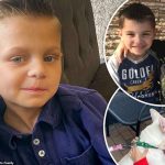 Svg+xml;charset=utf 8,%3Csvg Xmlns%3D'http%3A%2F%2Fwww.w3