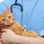 Svg+xml;charset=utf 8,%3Csvg Xmlns%3D'http%3A%2F%2Fwww.w3