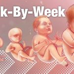 Svg+xml;charset=utf 8,%3Csvg Xmlns%3D'http%3A%2F%2Fwww.w3